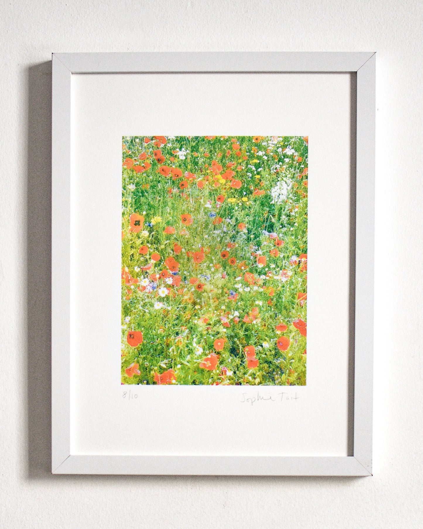 'DC's GARDEN' (A4 CMYK/multi)