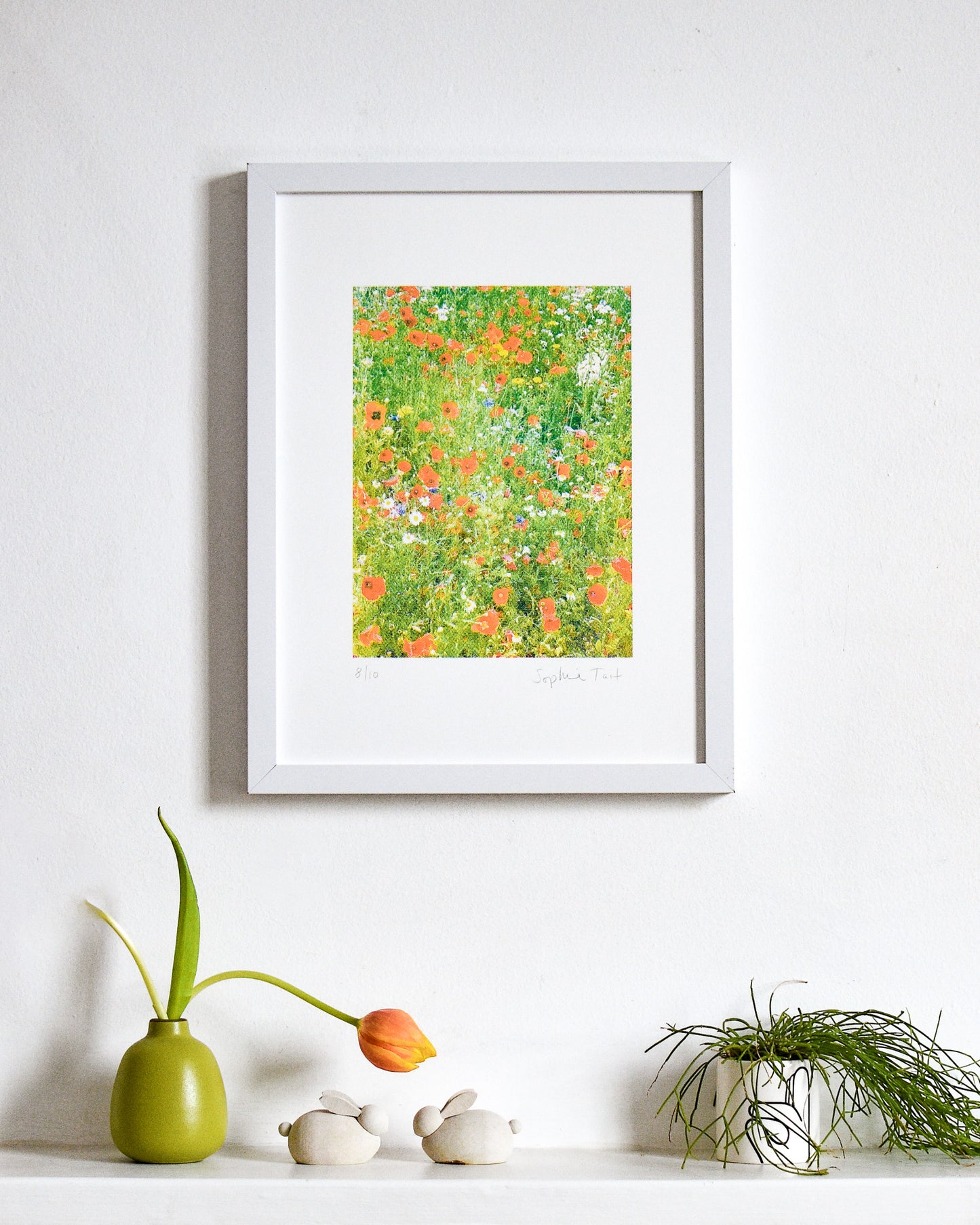 'DC's GARDEN' (A4 CMYK/multi)