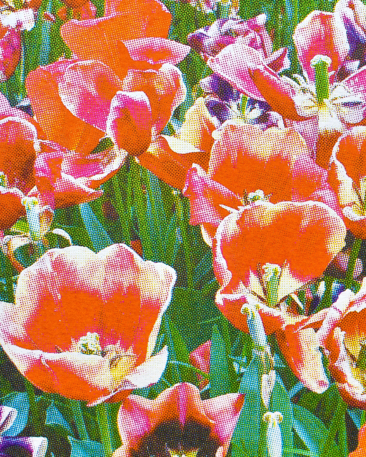 'WISLEY'S GARDEN (A4 CMYK/multi)