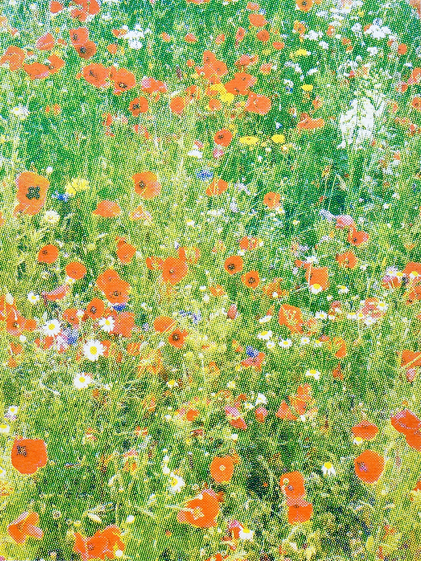 'DC's GARDEN' (A4 CMYK/multi)