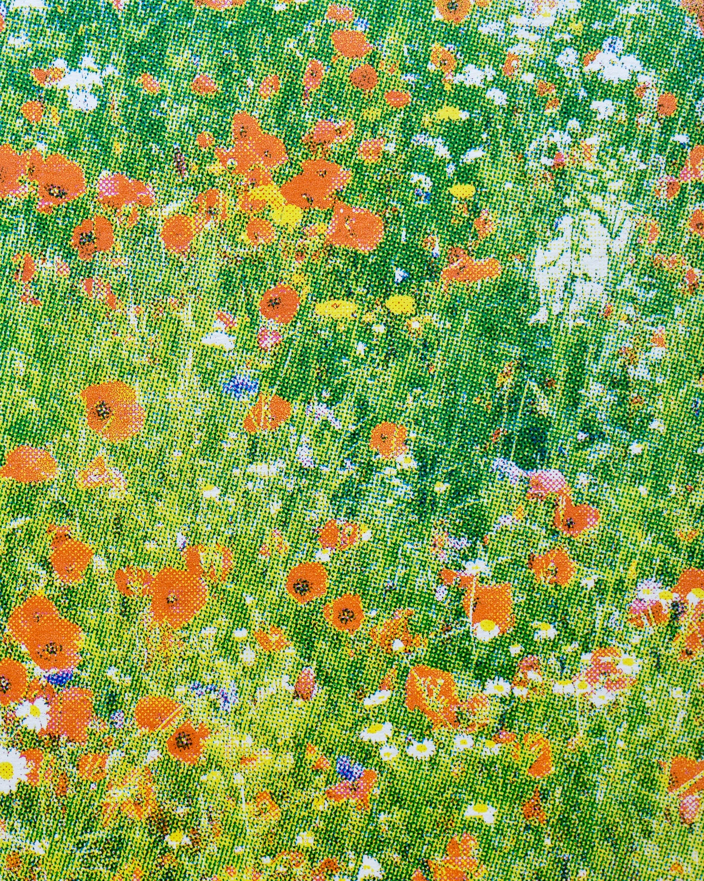 'DC's GARDEN' (A4 CMYK/multi)
