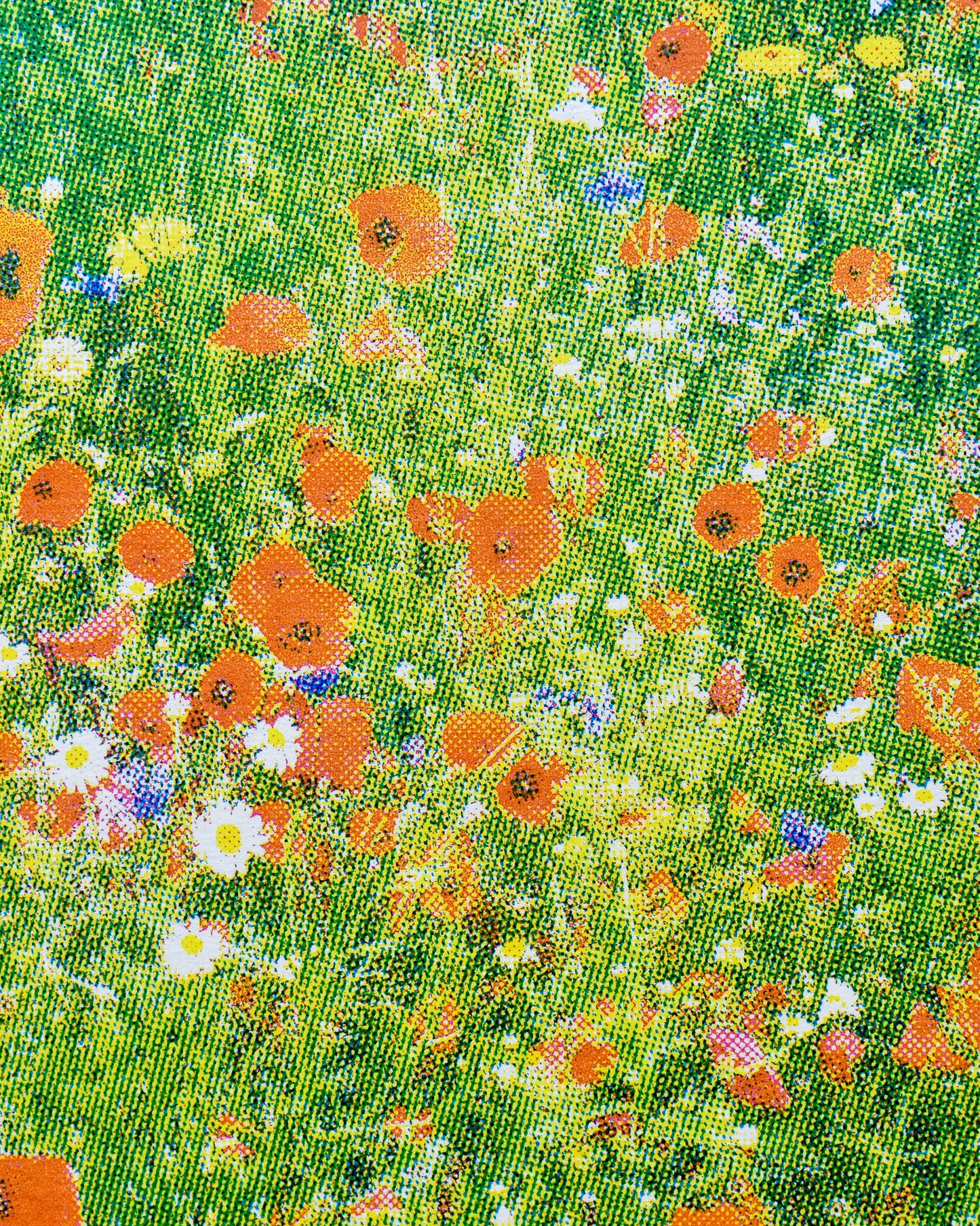 'DC's GARDEN' (A4 CMYK/multi)