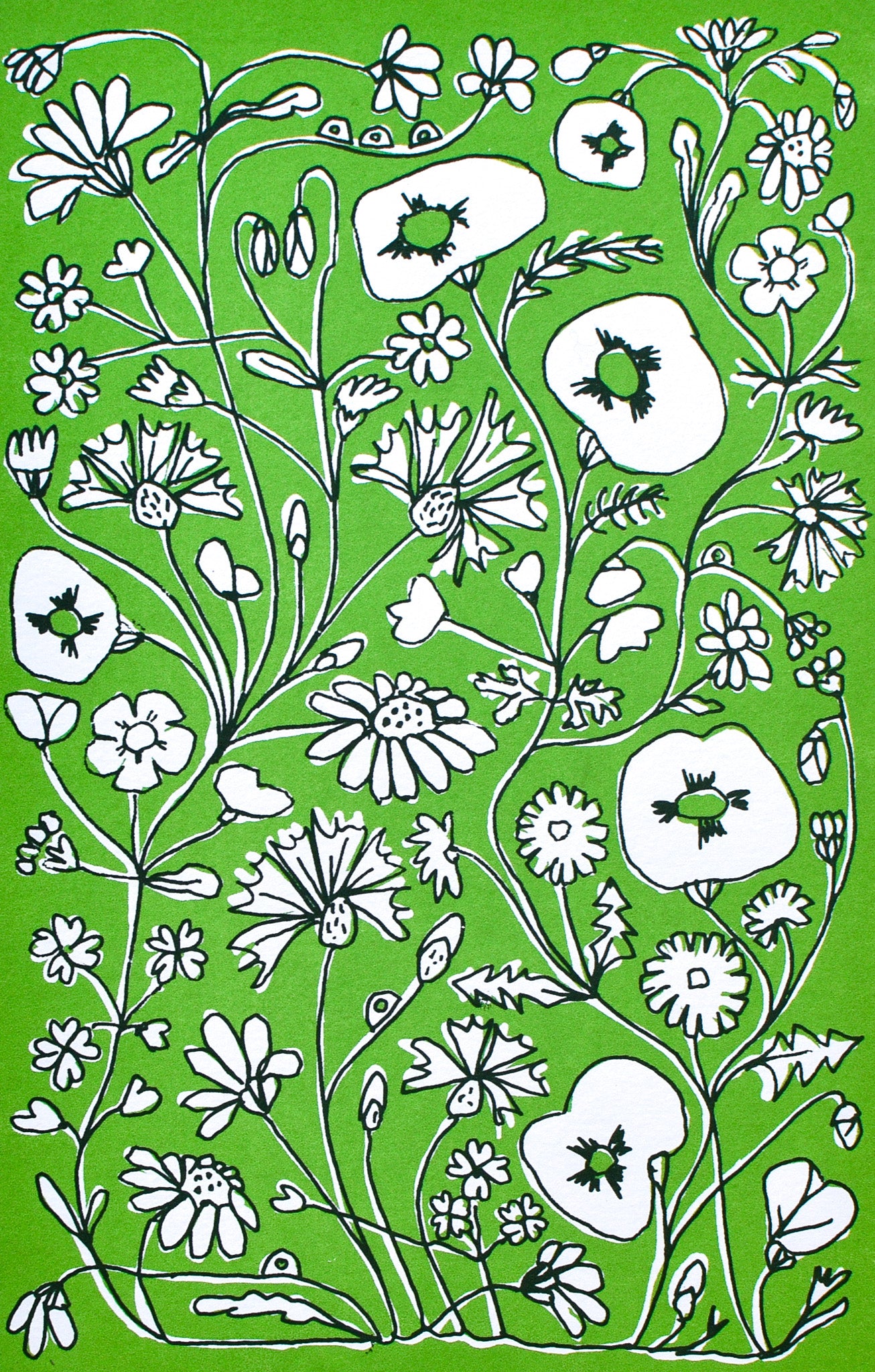 'ENTANGLED' (A4 green)