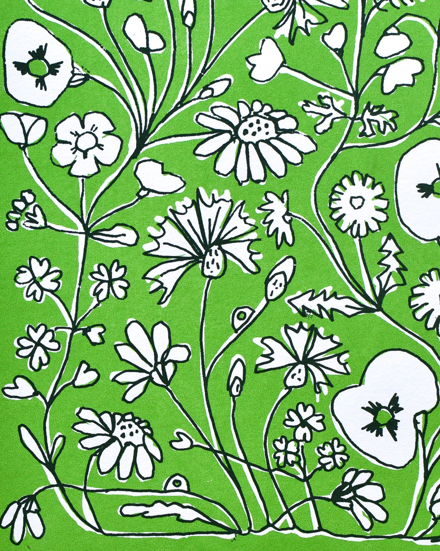 'ENTANGLED' (A4 green)