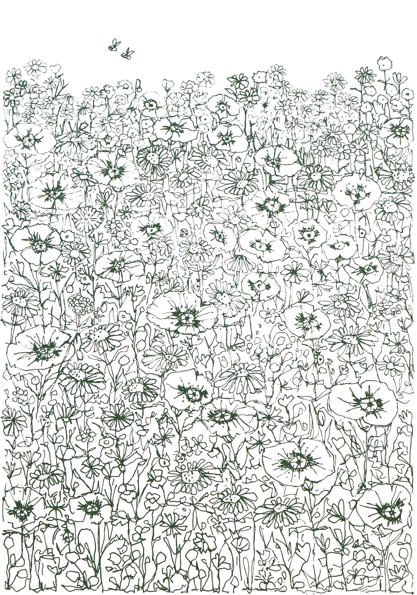 'MESSY MEADOW' (A4 dark green)