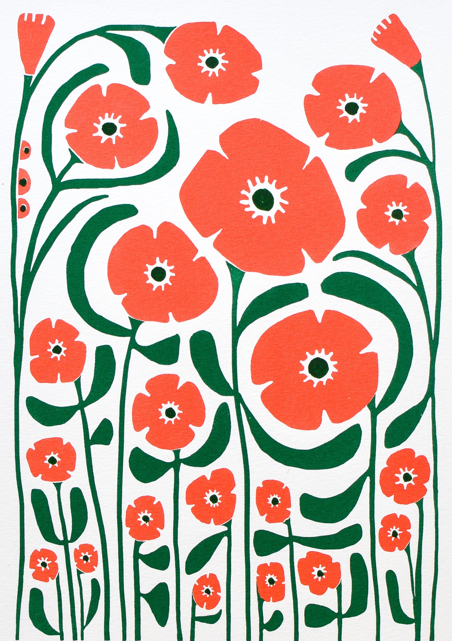 'POPPY PATROL' (A4 coral/green/)