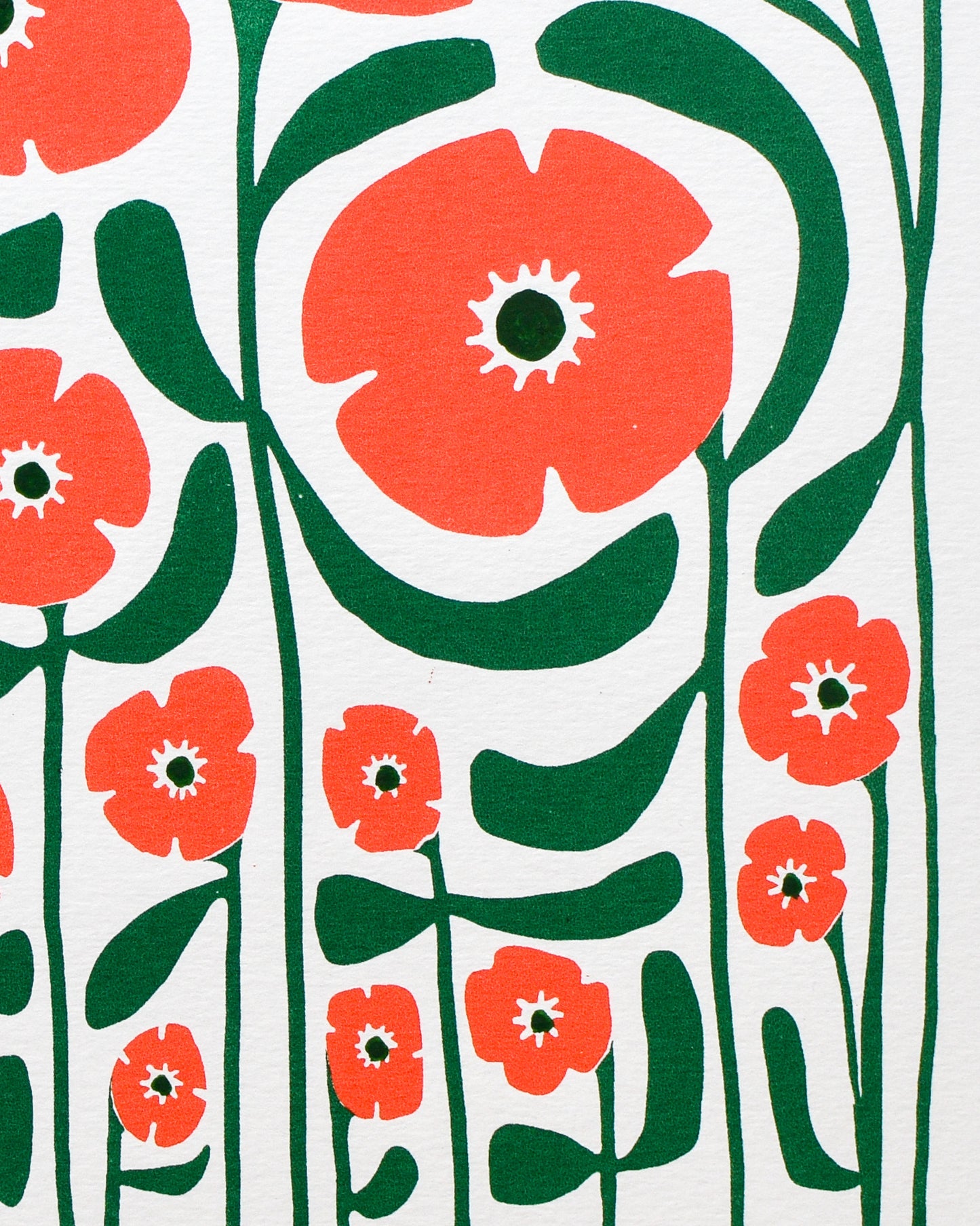 'POPPY PATROL' (A4 coral/green/)