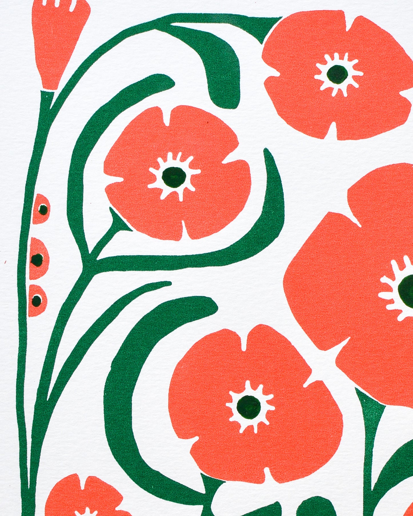 'POPPY PATROL' (A4 coral/green/)